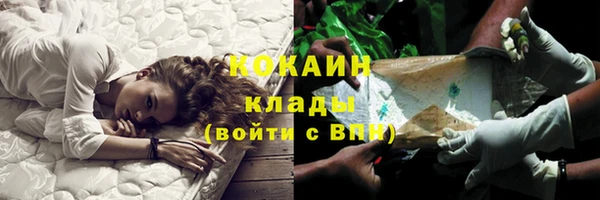прущий лед Алзамай