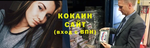 прущий лед Алзамай