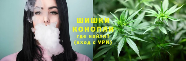 ПСИЛОЦИБИНОВЫЕ ГРИБЫ Алексеевка