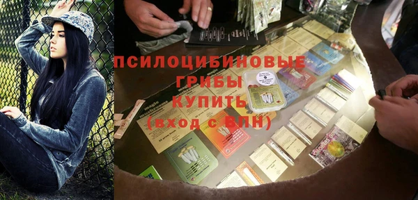 прущий лед Алзамай