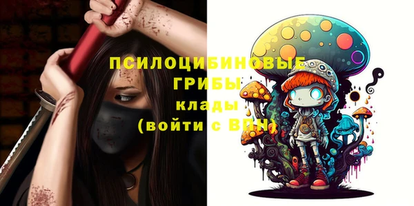 ПСИЛОЦИБИНОВЫЕ ГРИБЫ Алексеевка