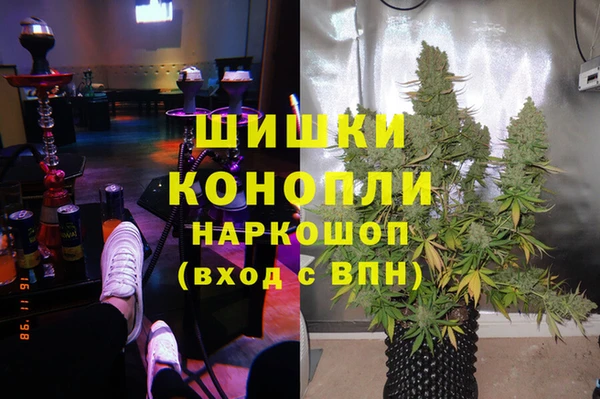 ПСИЛОЦИБИНОВЫЕ ГРИБЫ Алексеевка