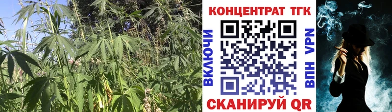ТГК THC oil  Ижевск 